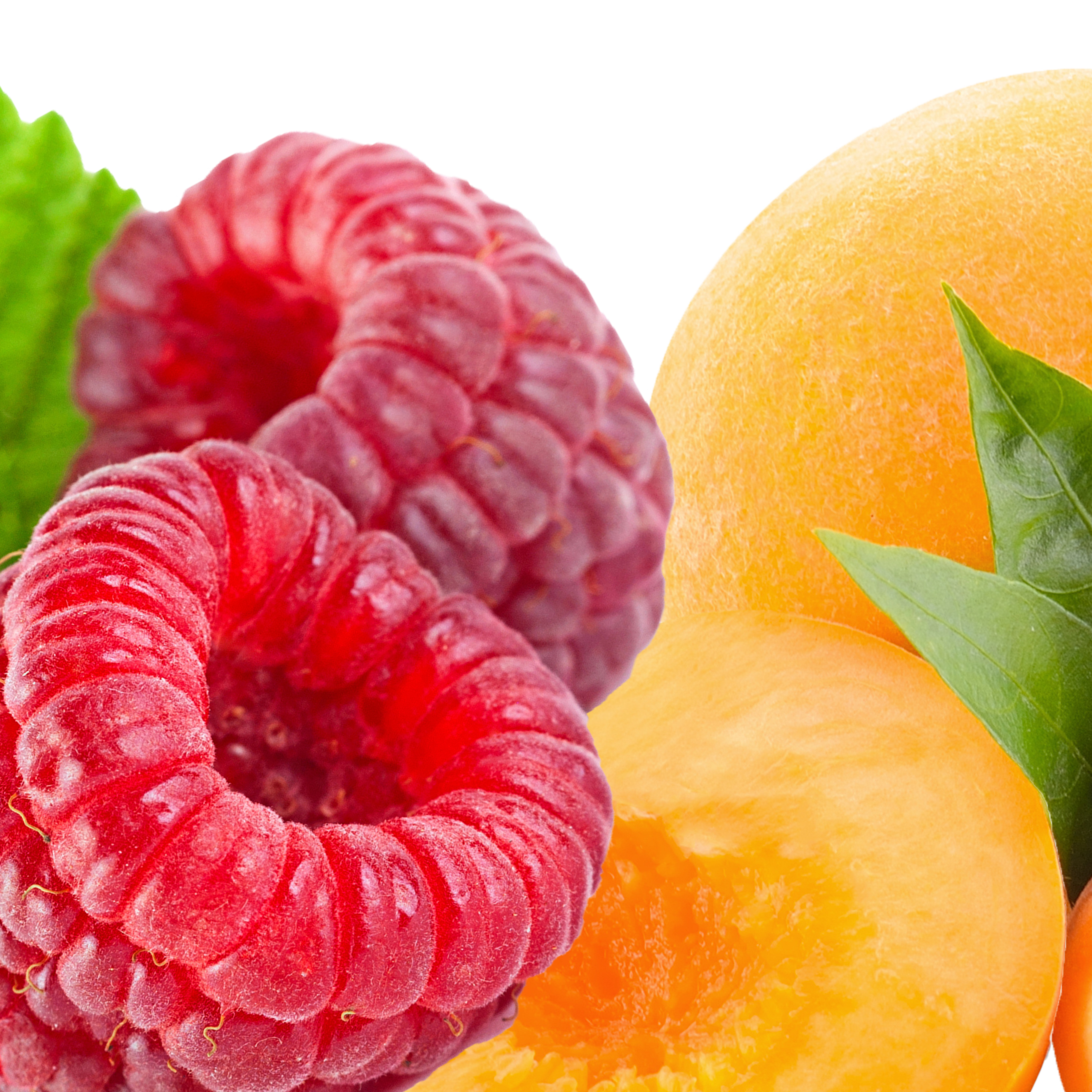 OLL I Fruit Concentrates I Australian Wholesale