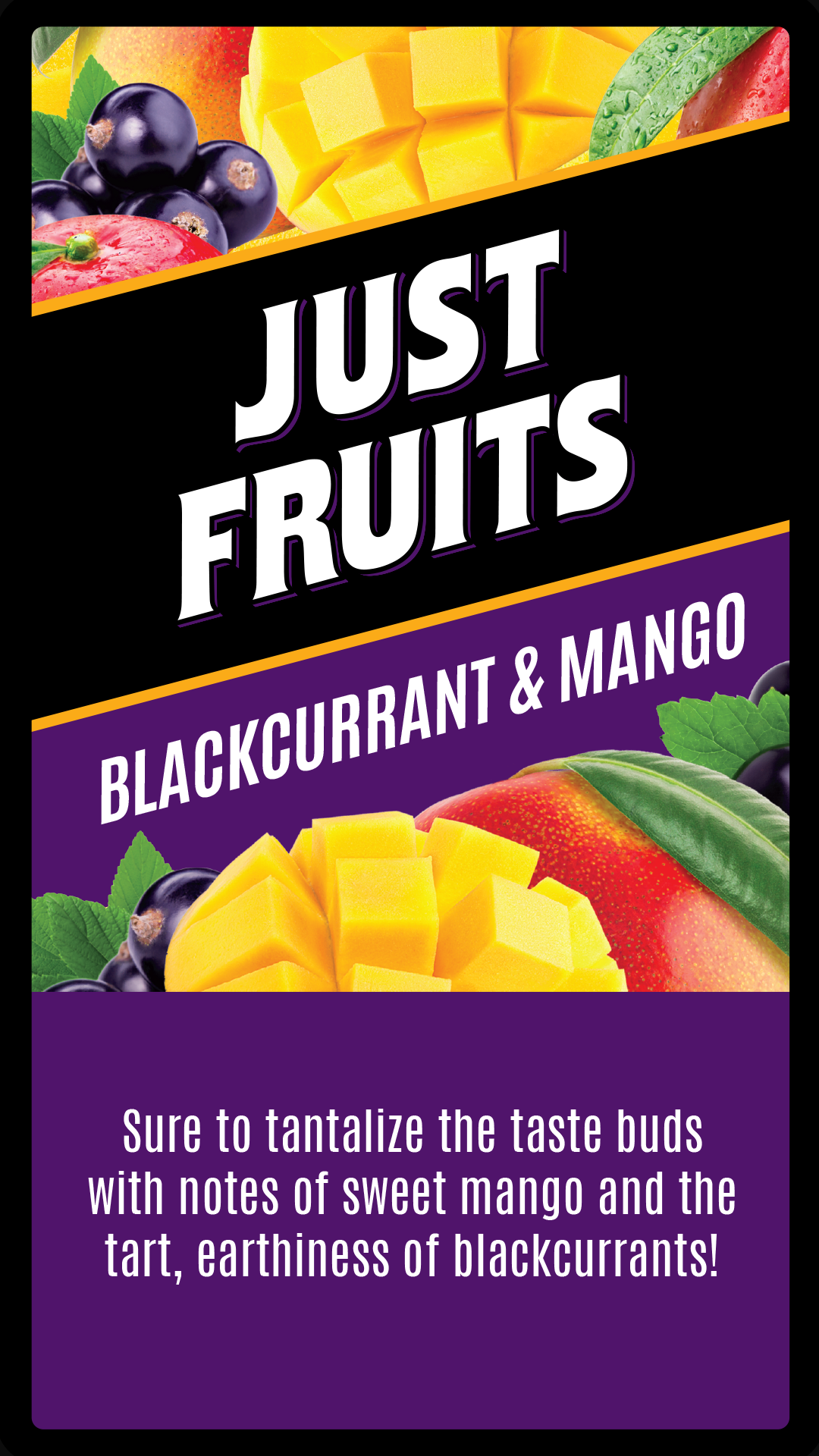 Just Fruits 60ml | Blackcurrant & Mango | Wholesale